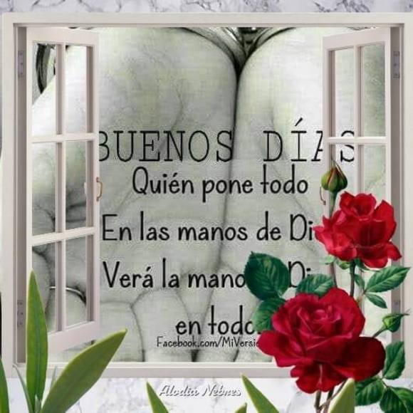 Meet your Posher, Lucia - Picture 1 of 1